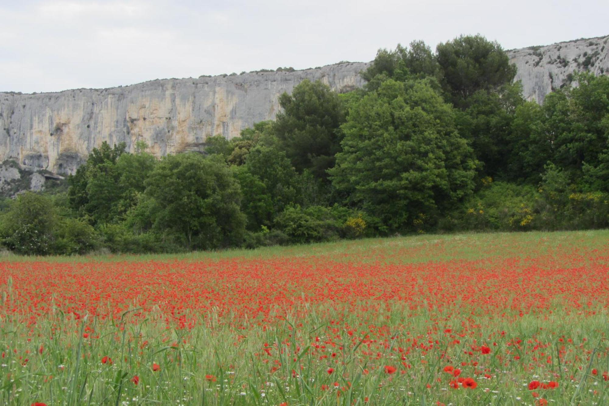 Holiday home Les Cistes Lioux