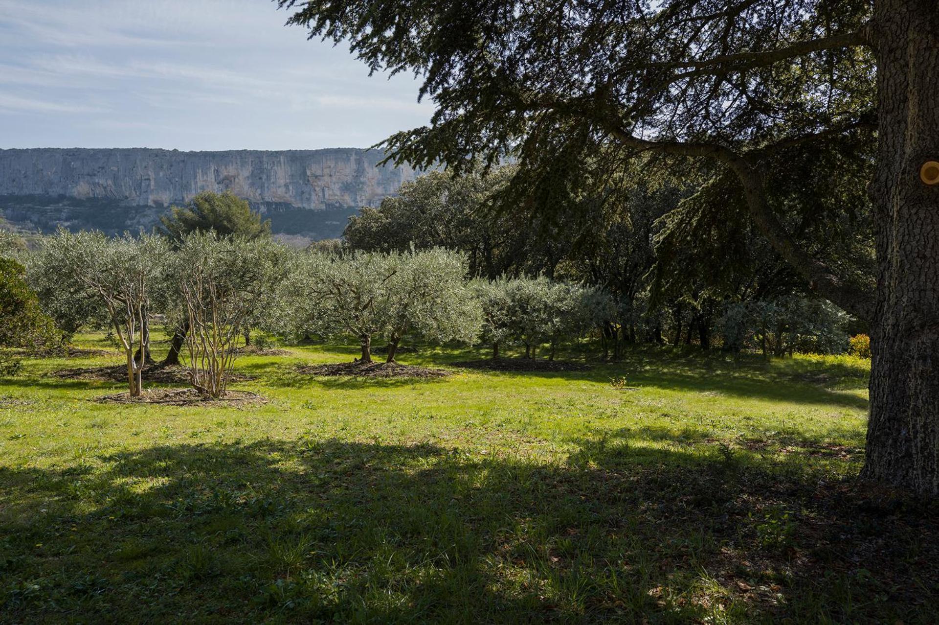 Casa de Férias Les Cistes Lioux